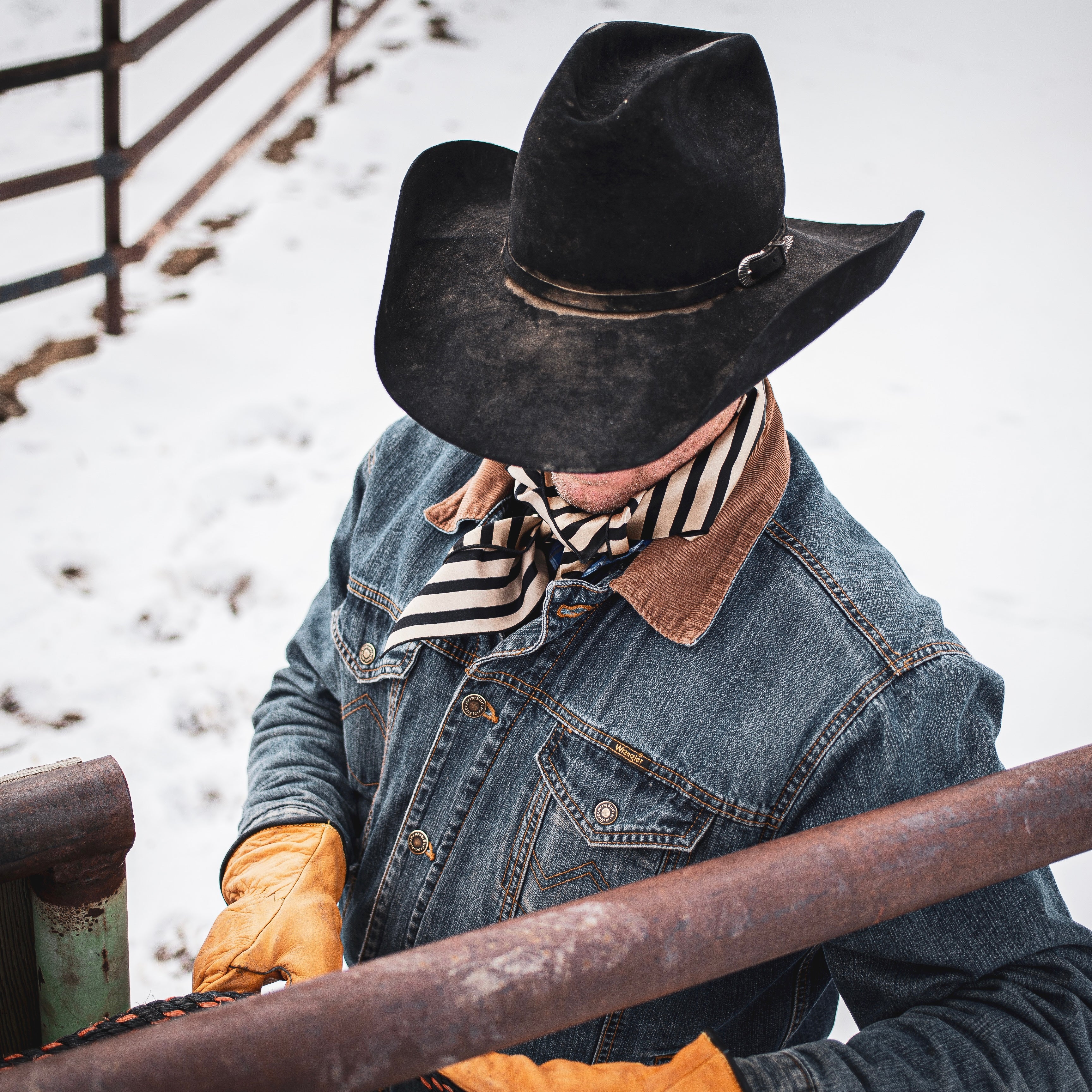 Limited Edition Winter Wild Rags – Wild West Rag Co