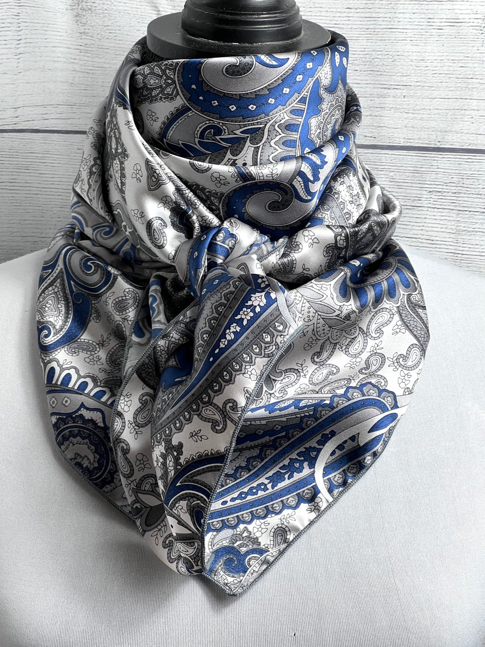 The Silverado Paisley Silk Large Rag