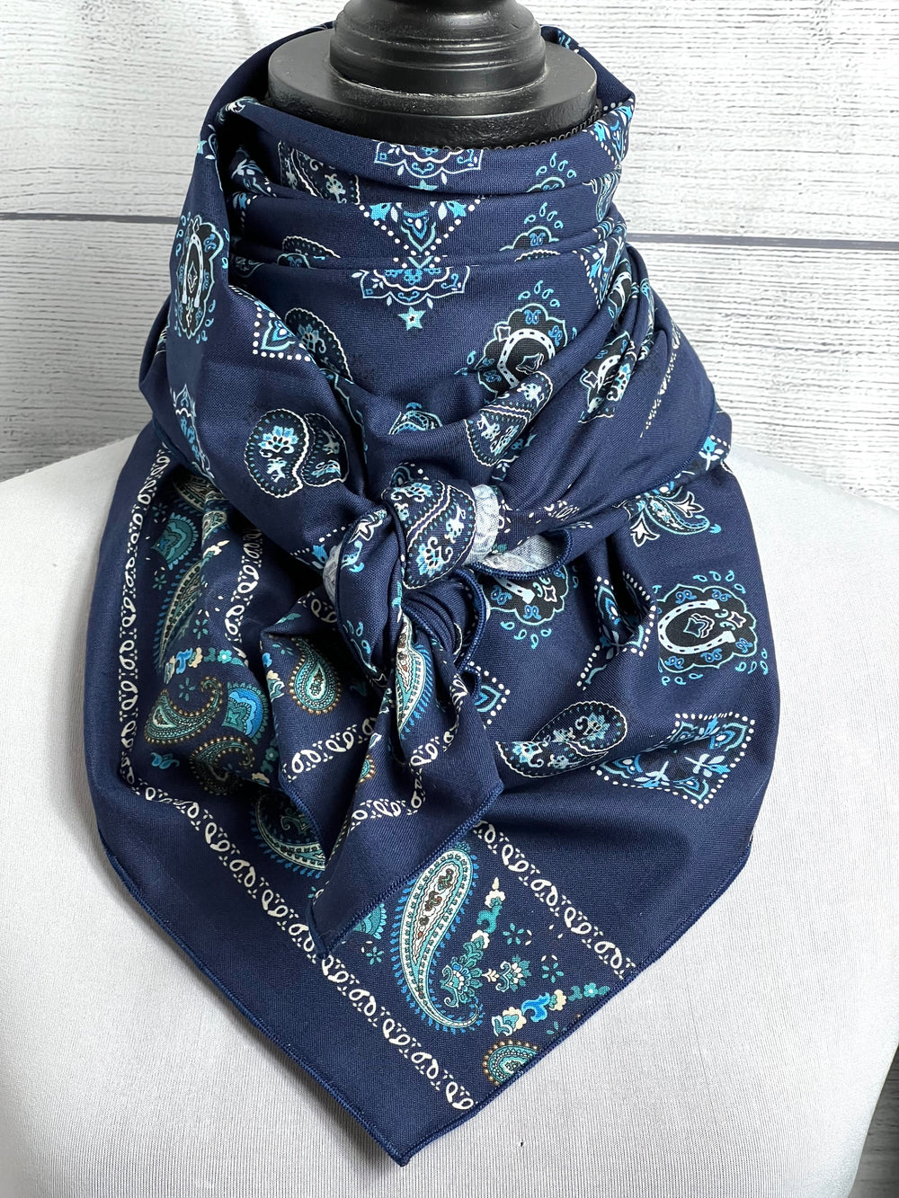 The Blue Horseshoe Paisley Cotton Rag