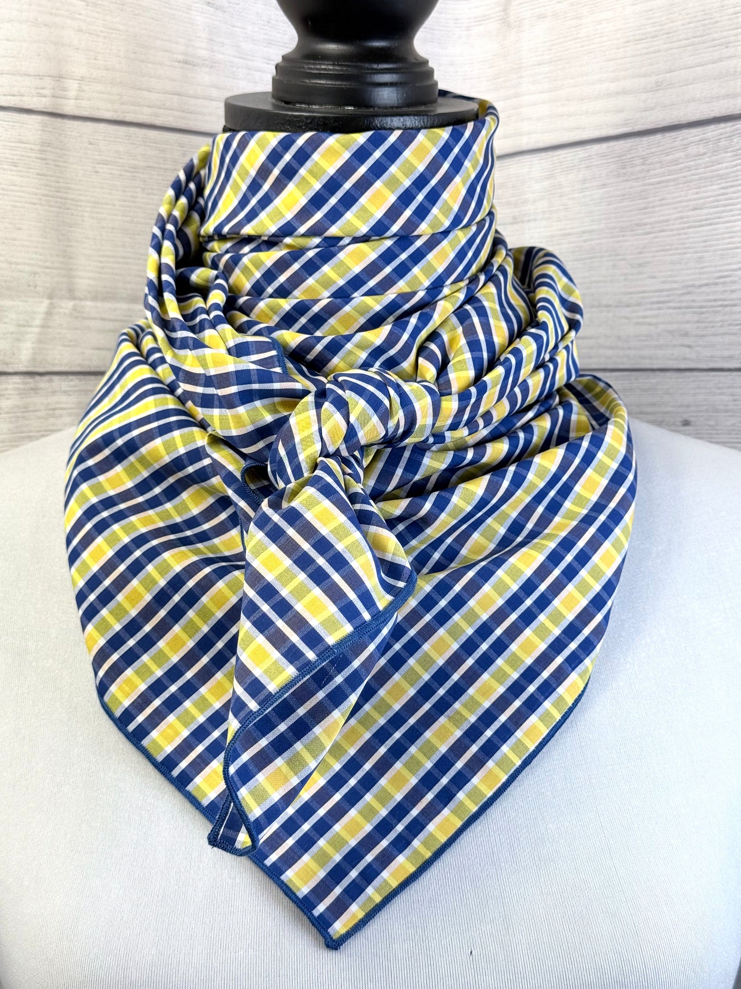 Razwin Rag Wild West Rag Co.