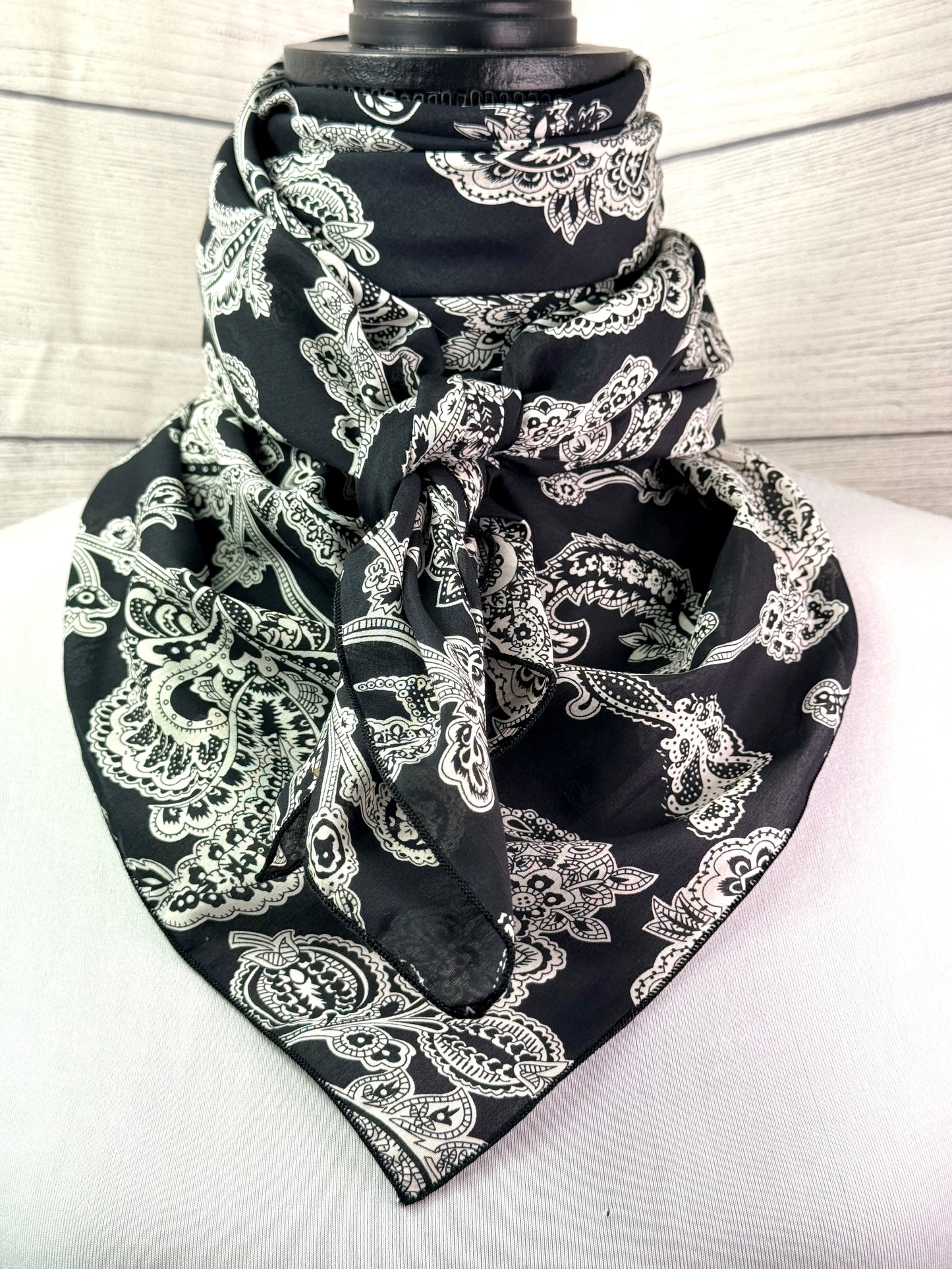 Razwin Rag Wild West Rag Co.