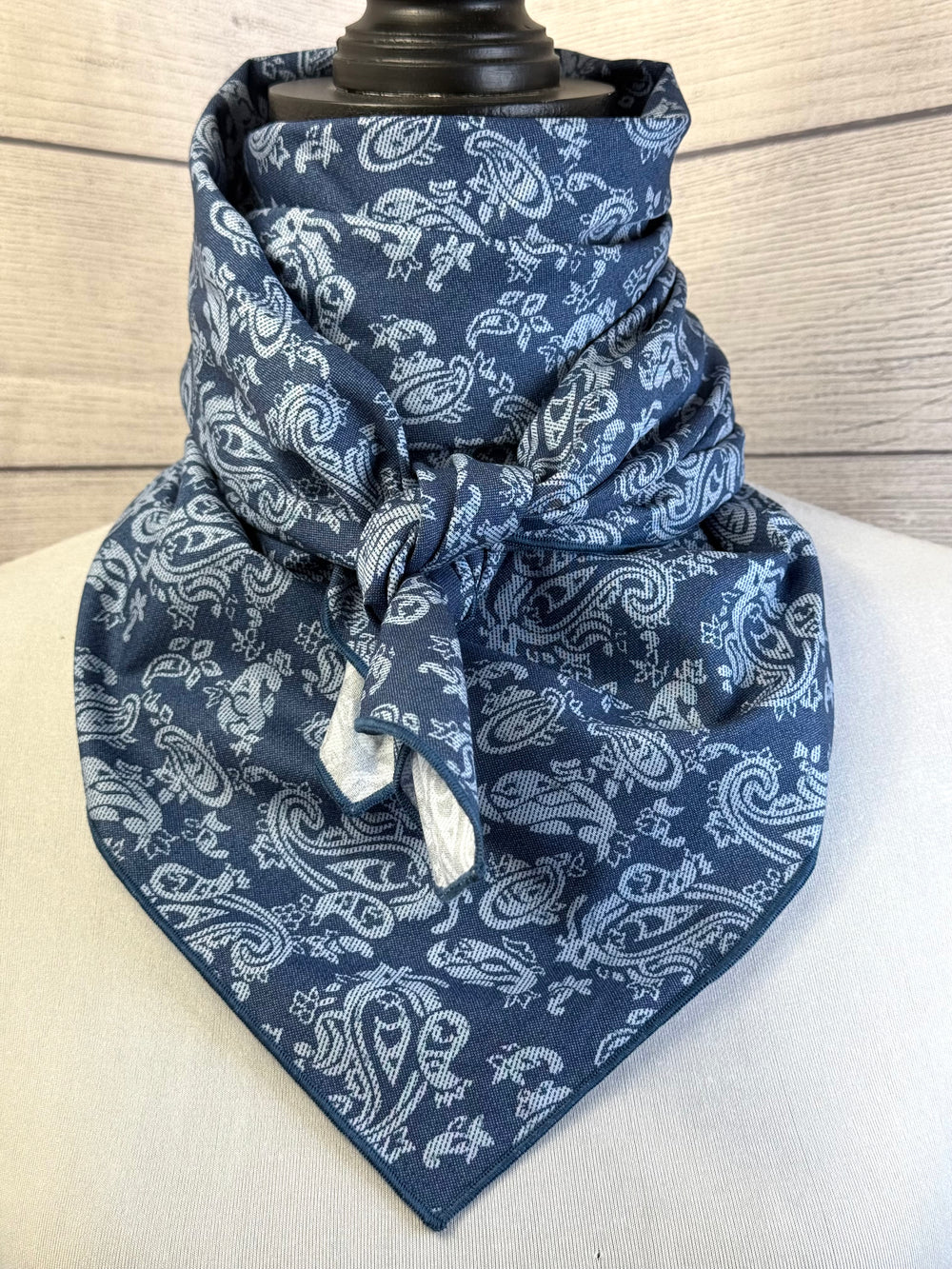 The Bradshaw Paisley Cotton Rag