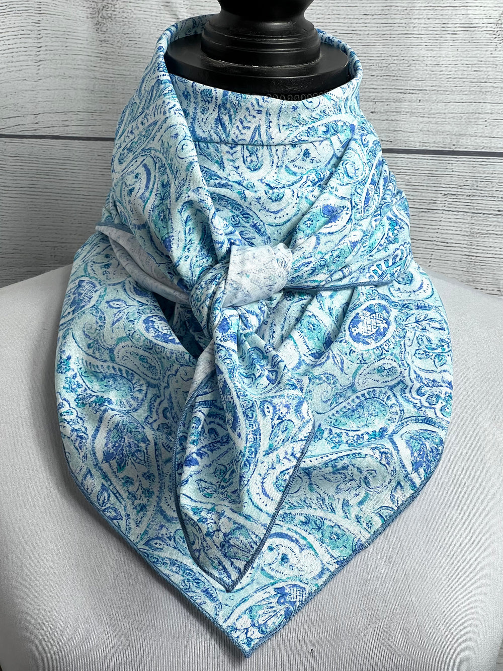 The Bellamy Paisley Cotton Rag