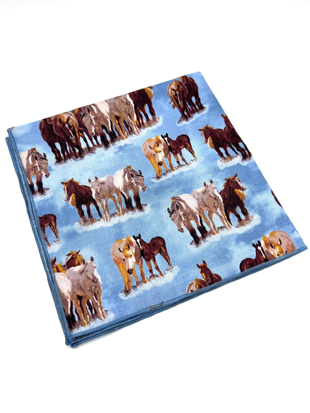 The Mares Handkerchief