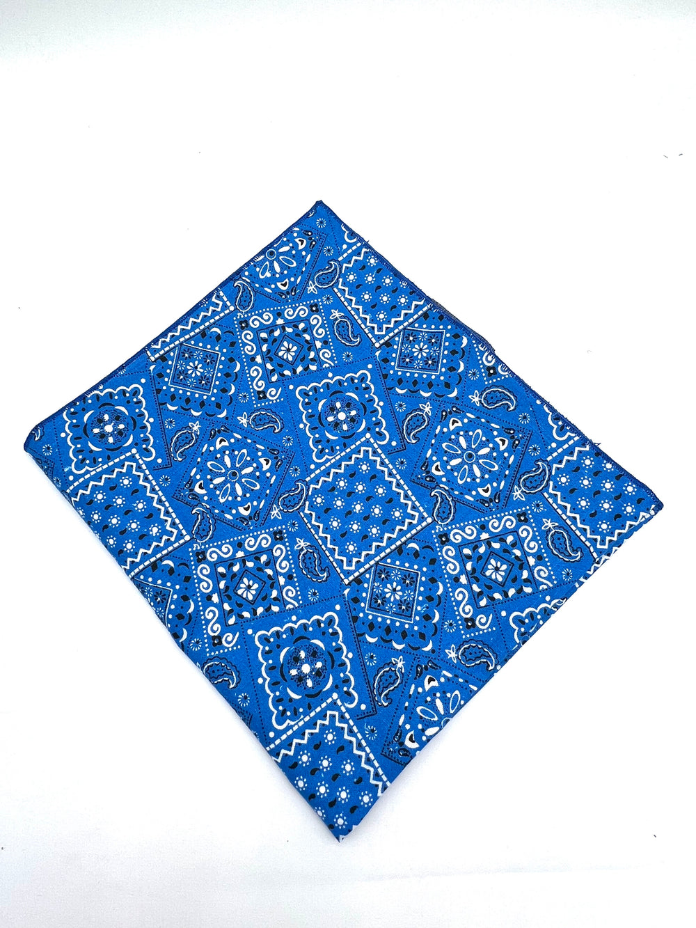 Royal Vintage Paisley Handkerchief
