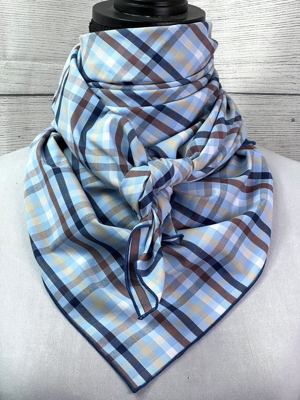 Brown & Blue Plaid Cotton Rag