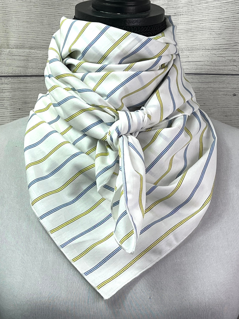 The Branson Striped Cotton Rag