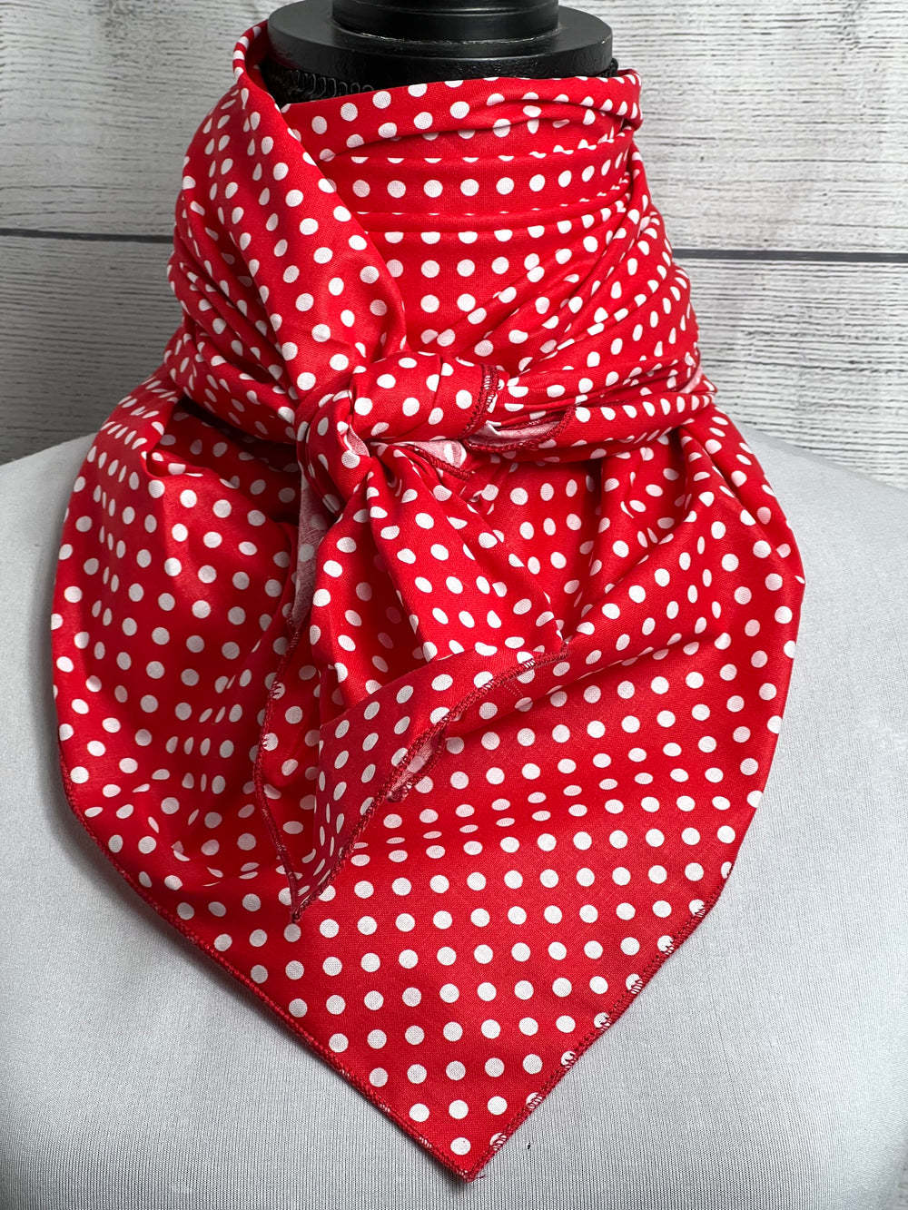 The Red Polka Dot Cotton Rag