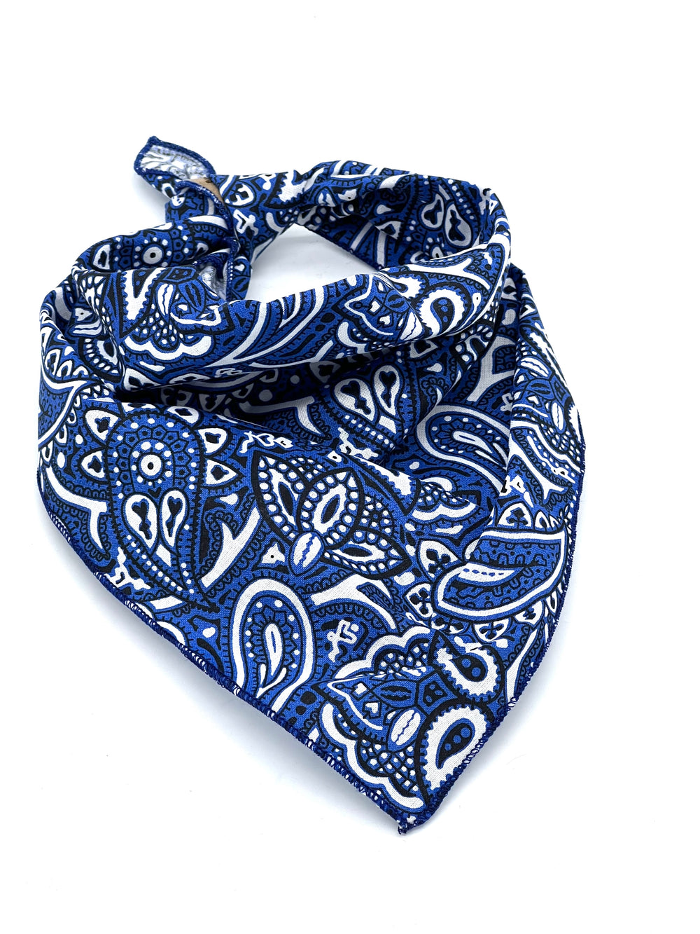 The Royal Paisley Cotton Mini Bandana