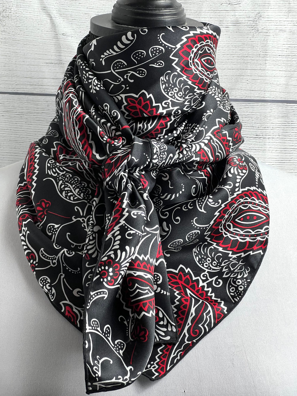 The Black & Red Vintage Paisley Silk Rag
