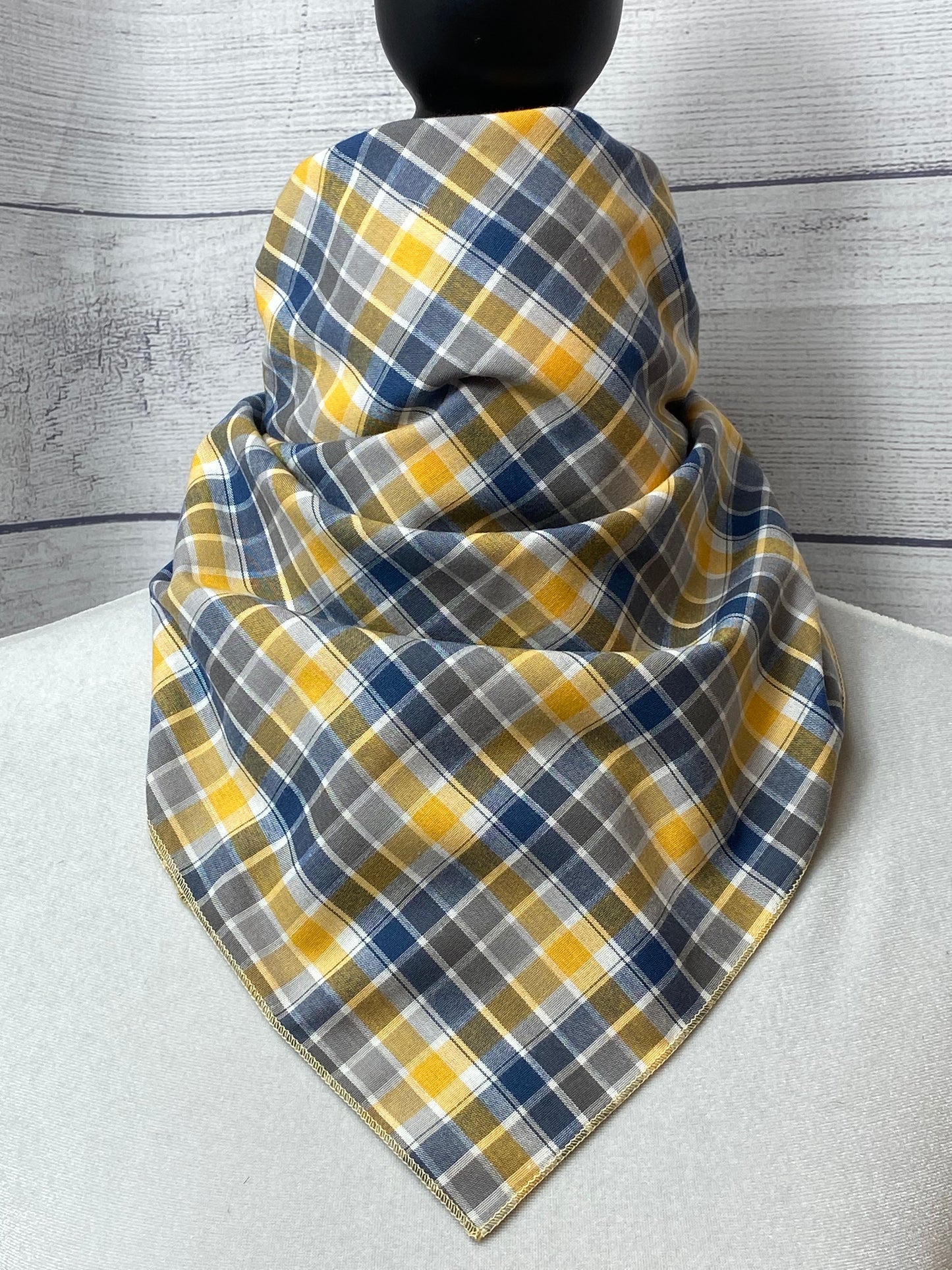 The Orwen Silk Rag