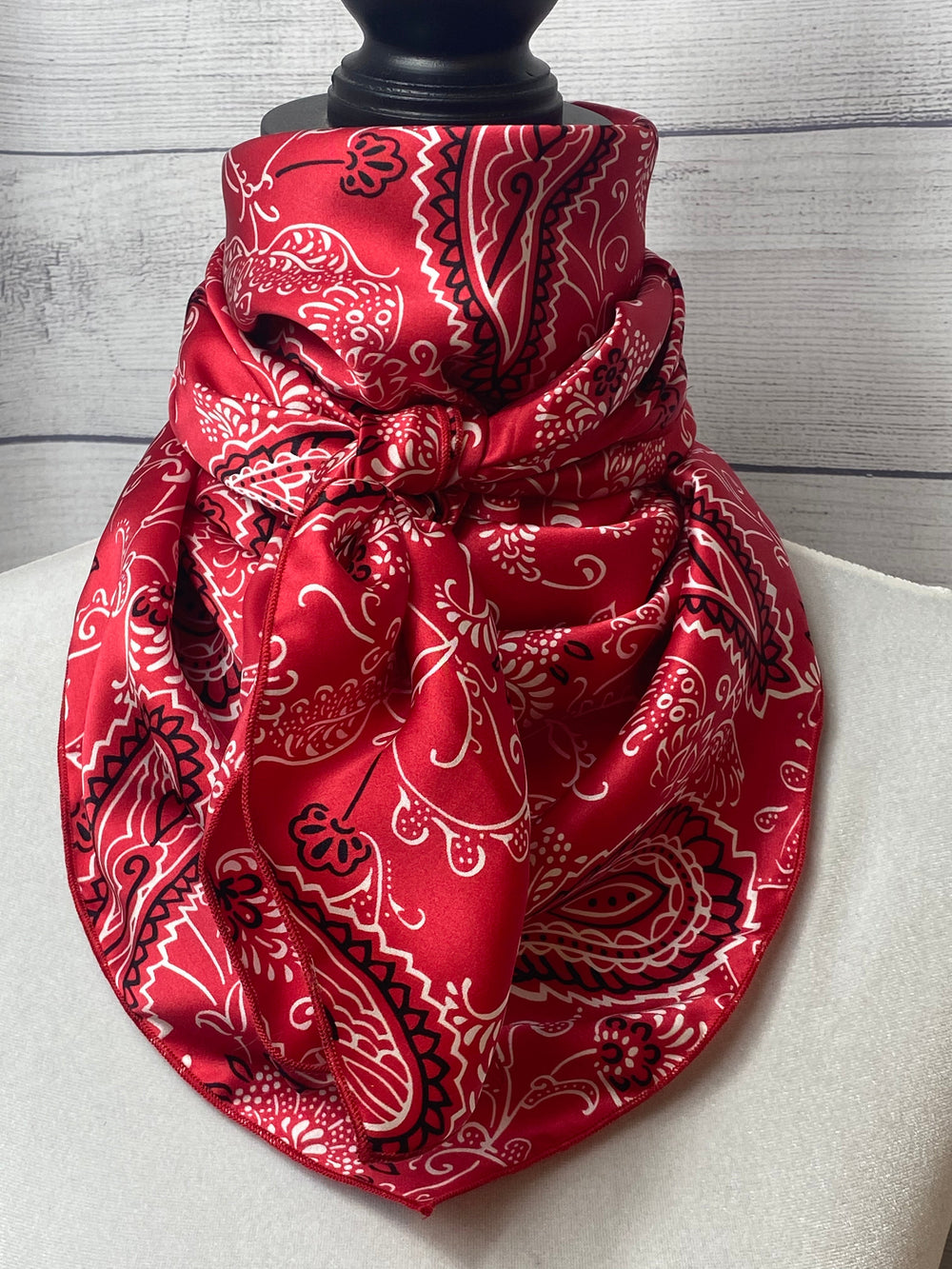 The Red Vintage Paisley Silk Large Rag